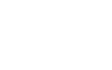 Napoleon logo